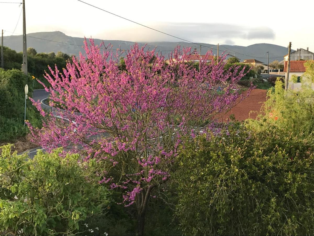 Ceu Sobre Montejunto Boutique B&B Cadaval Exteriér fotografie